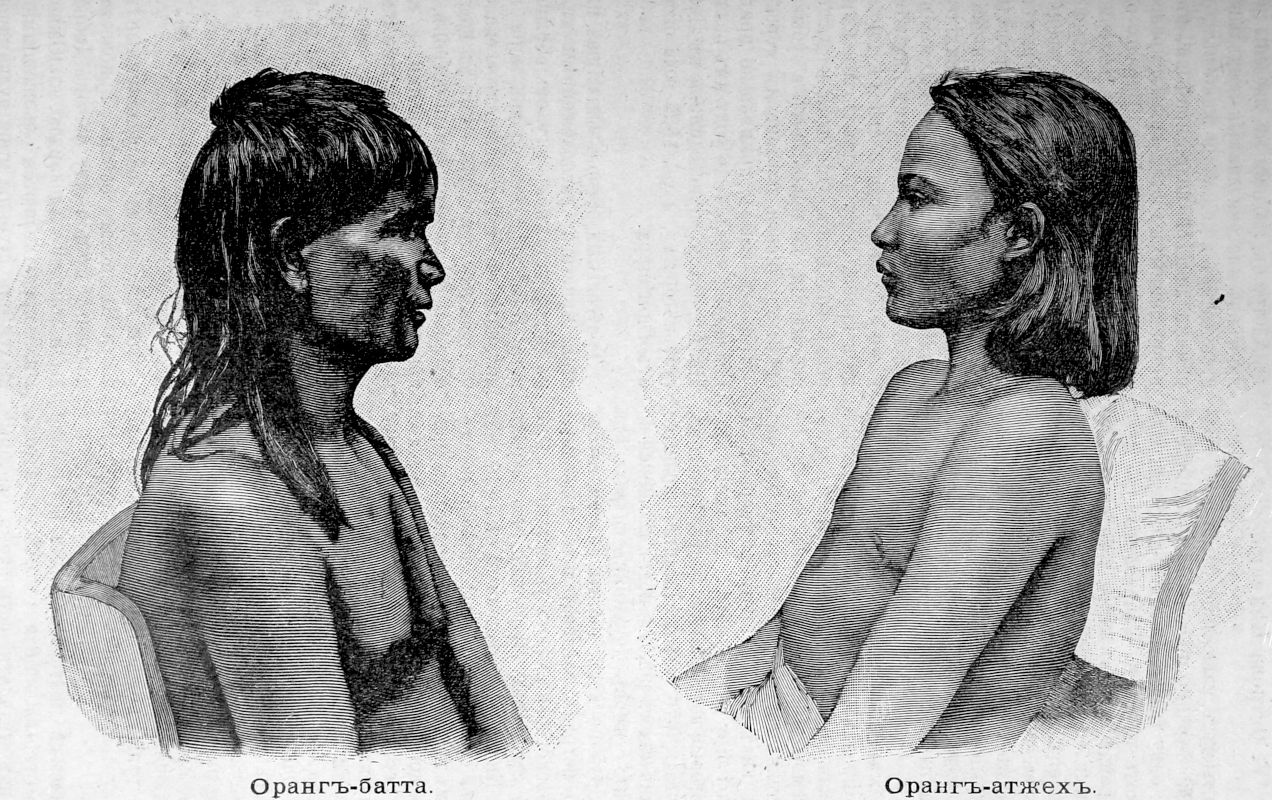 173 Оранг-батта и оранг-атжех